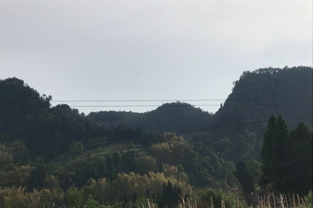 飛來石(四川省自貢市富順縣李橋鎮境內古蹟) 飛來石(四川省自貢市富順縣李橋鎮境內古蹟)