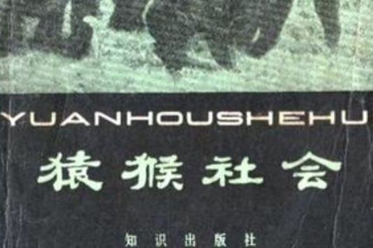 猿猴社會 猿猴社會