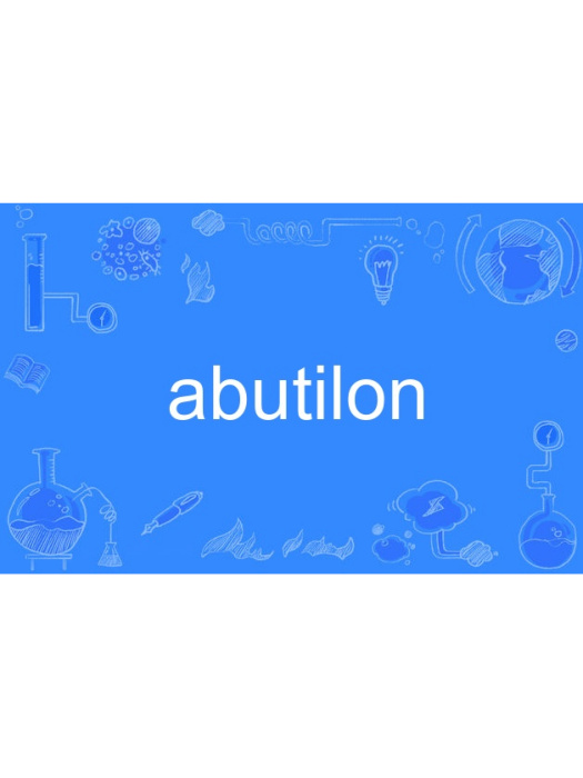 abutilon abutilon