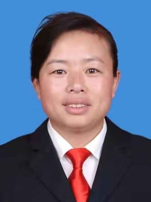王娜(陝西省榆林市吳堡縣政府黨組成員、張家山鎮黨委書記) 王娜(陝西省榆林市吳堡縣政府黨組成員、張家山鎮黨委書記)