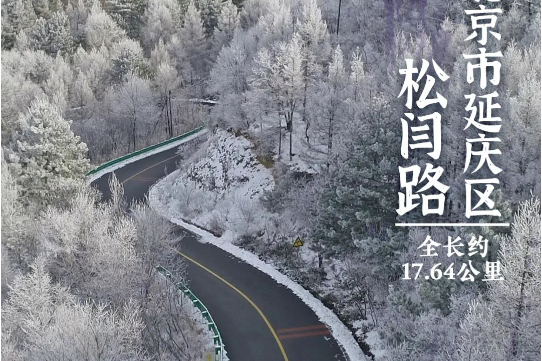 松閆路 松閆路