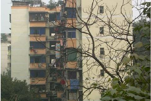 民主一村 民主一村