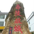 柏家坪鎮(柏家坪)