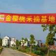 後金櫻桃節 後金櫻桃節