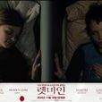 生人勿近(瑞典2008年湯瑪斯艾佛遜導演的驚悚電影)