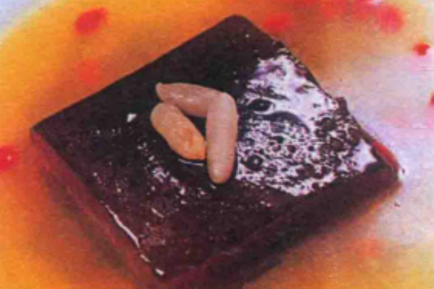 黃燒牛方 黃燒牛方