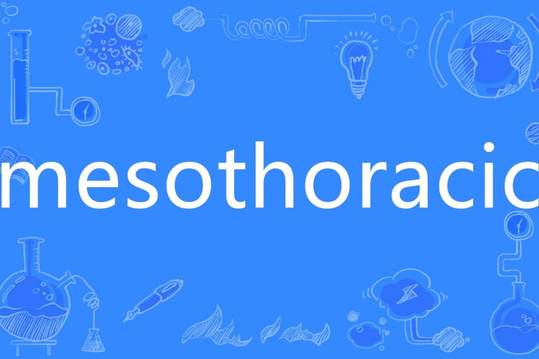 mesothoracic mesothoracic