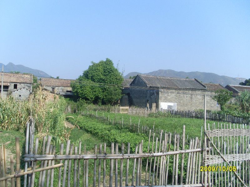 覃仲富 覃仲富