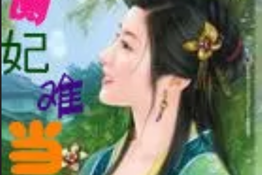 側妃難當 側妃難當