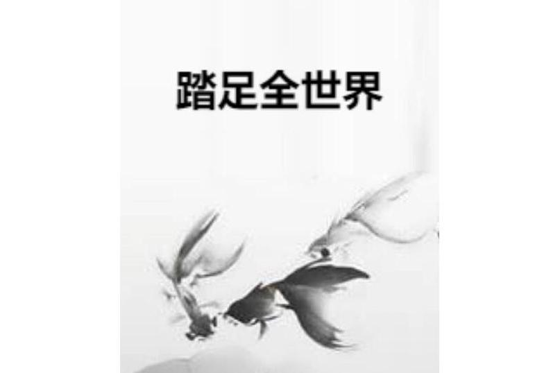 踏足全世界 踏足全世界