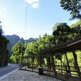 盤道溝村(北京懷柔區寶山寺鄉下轄村) 盤道溝村(北京懷柔區寶山寺鄉下轄村)