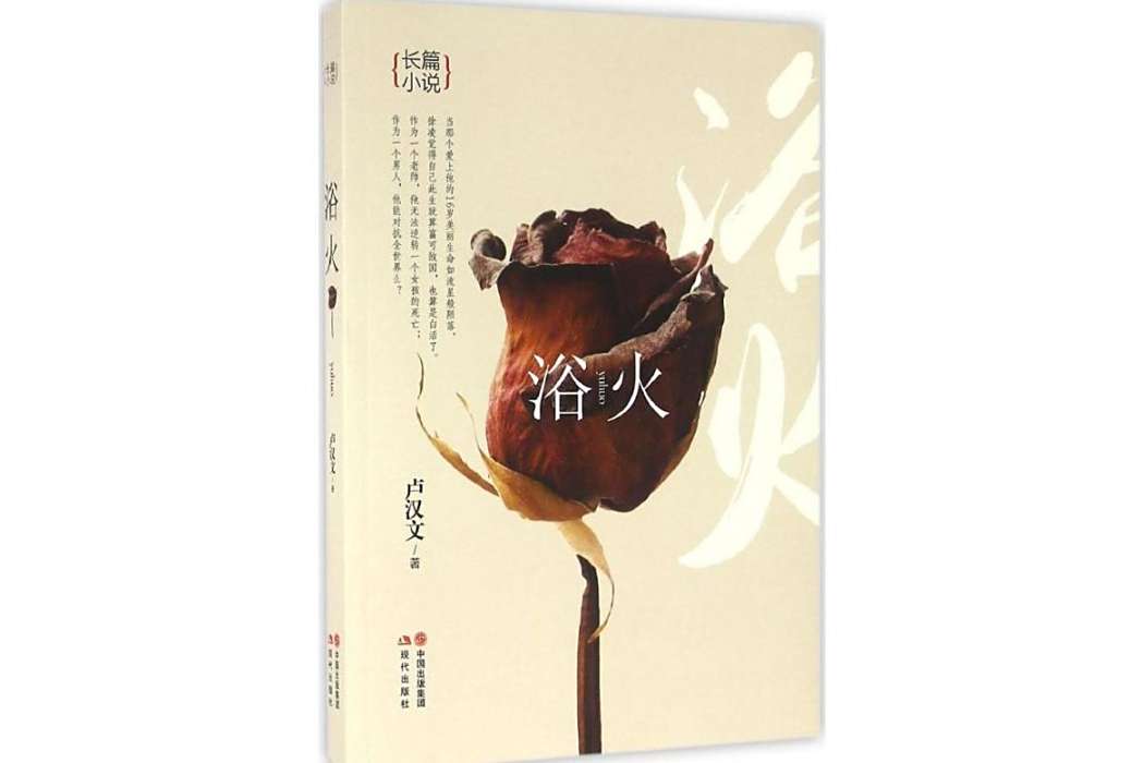 浴火(2016年現代出版社出版的長篇歷史小說) 浴火(2016年現代出版社出版的長篇歷史小說)