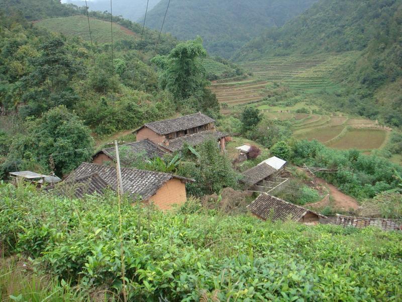 老母豬箐村 老母豬箐村