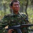 白鐵軍(電視劇《士兵突擊》人物) 白鐵軍(電視劇《士兵突擊》人物)