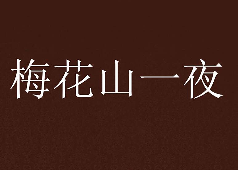 梅花山一夜 梅花山一夜
