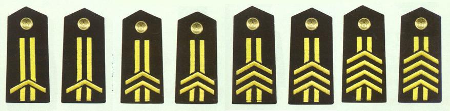 解放軍海軍軍士長肩章(1993-1999)