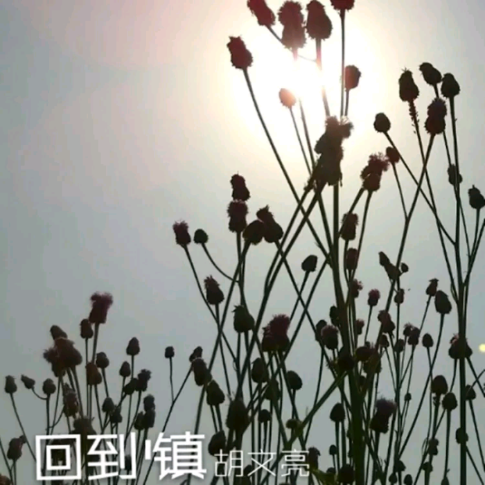 回到小鎮(胡文亮演唱的歌曲) 回到小鎮(胡文亮演唱的歌曲)