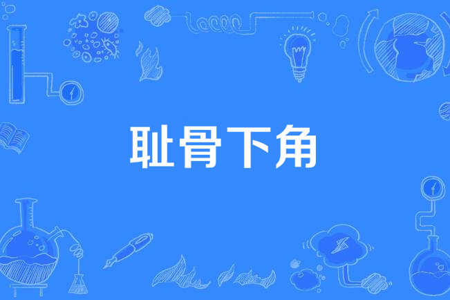 恥骨下角 恥骨下角