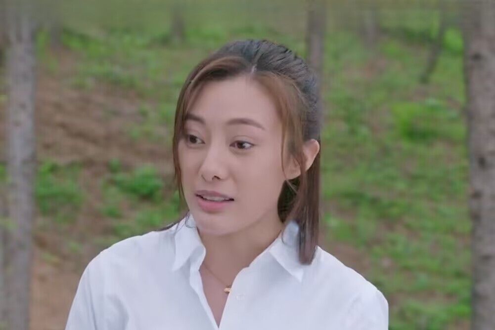 楊柳(當代農村劇《愛在青山綠水間》中的角色) 楊柳(當代農村劇《愛在青山綠水間》中的角色)