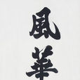 風華正茂(網路歌曲) 風華正茂(網路歌曲)