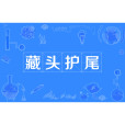 藏頭護尾 藏頭護尾