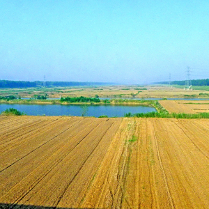 鹽城風景