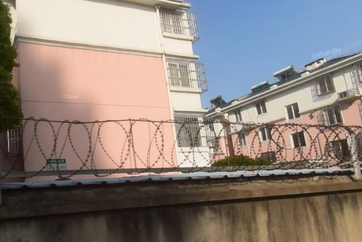 北金馬 北金馬