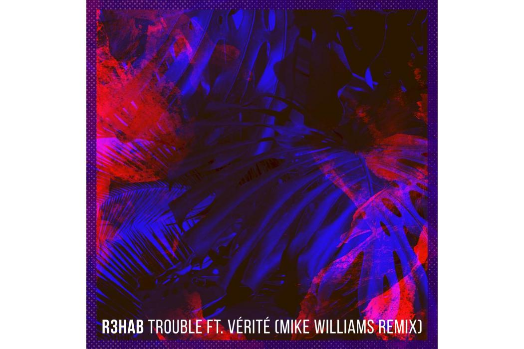 Trouble(2017年R3HAB / VÉRITÉ / Mike Williams演唱的歌曲)