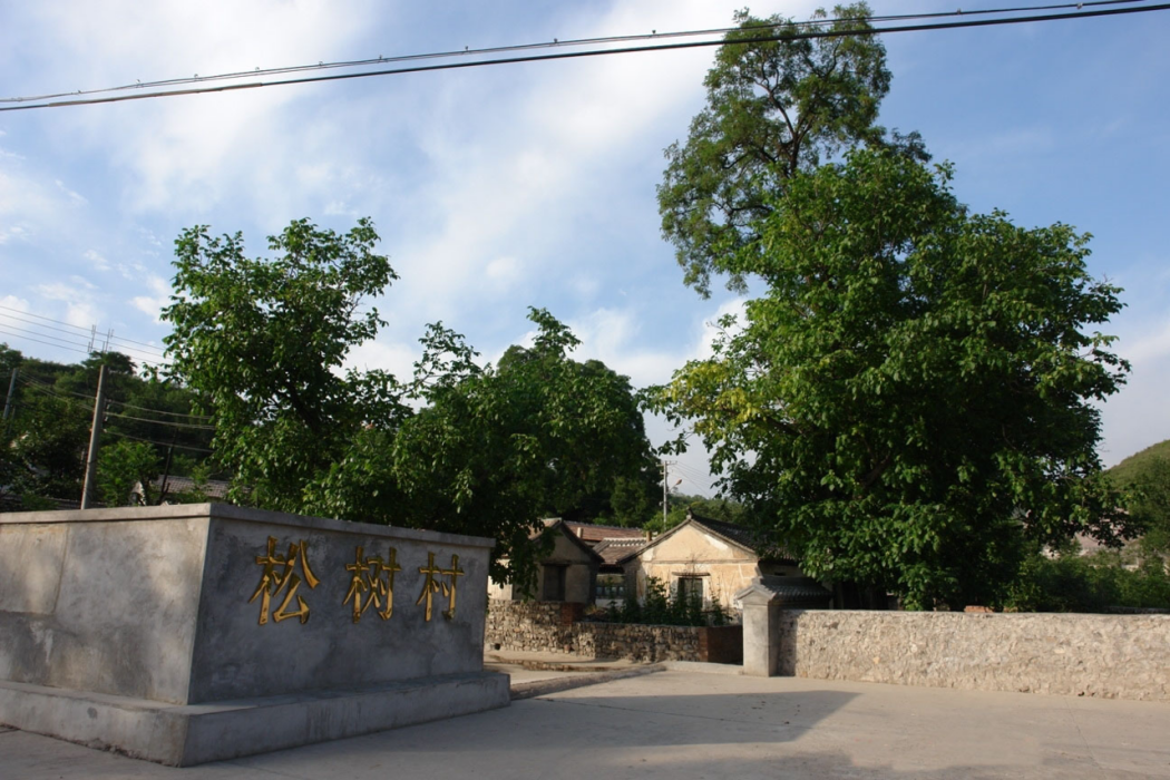 大松樹村(雲南景東縣太忠鄉下轄村) 大松樹村(雲南景東縣太忠鄉下轄村)