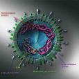 SARS病毒(SARS-CoV) SARS病毒(SARS-CoV)