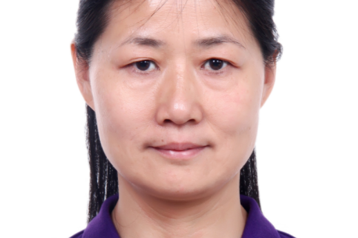 尤佳(北京科技大學自動化學院副教授) 尤佳(北京科技大學自動化學院副教授)