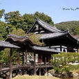 高台寺(中國湖南南嶽高台寺) 高台寺(中國湖南南嶽高台寺)