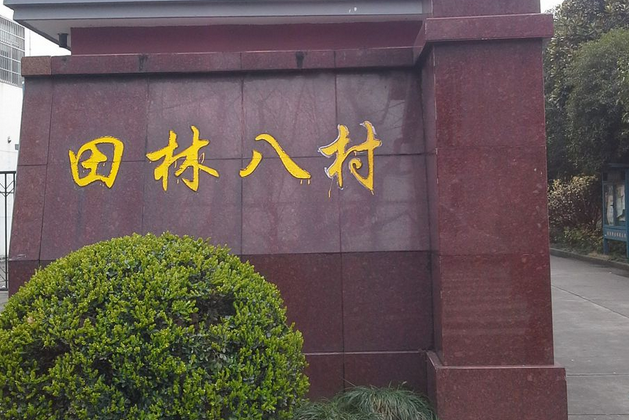 田林八村 田林八村