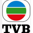tvb星河 tvb星河