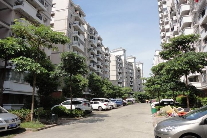 鳳儀東路 鳳儀東路