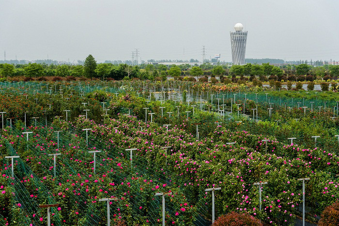 江蘇省農業現代產業示範園