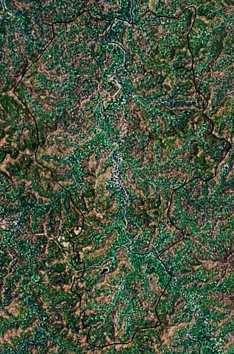 林鳳鎮衛星照片