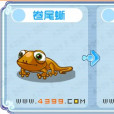 斷尾巨蜥 斷尾巨蜥