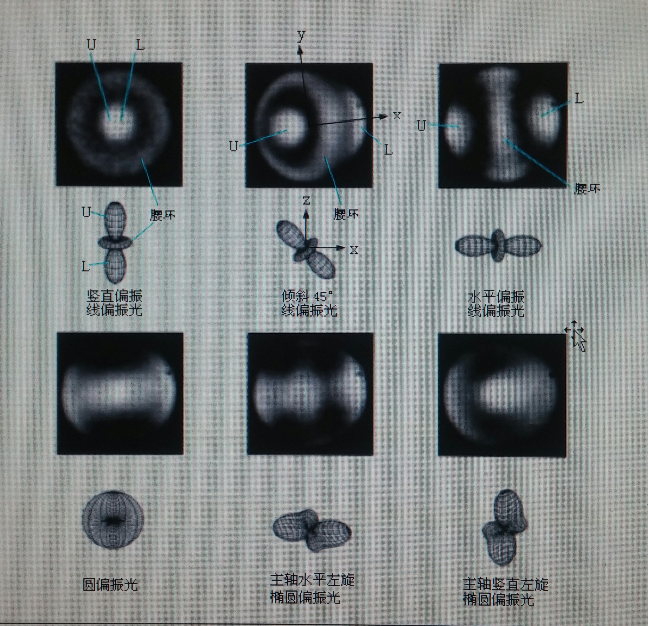 不同偏振態雷射作用下得到的銣原子電子云影像（取自參考文獻4）