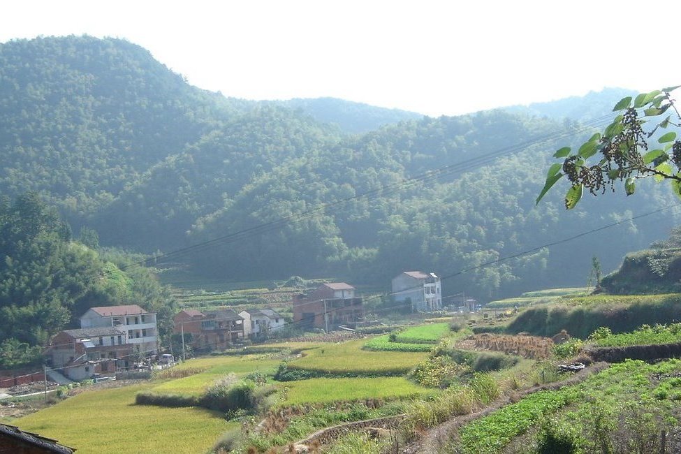 坪下村 坪下村