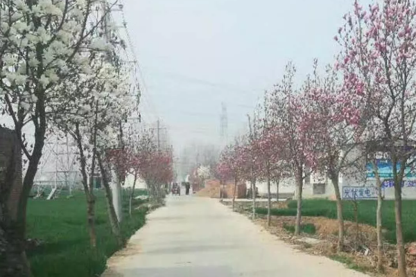 幸福村(河南省漯河市郾城區龍城鎮下轄村) 幸福村(河南省漯河市郾城區龍城鎮下轄村)