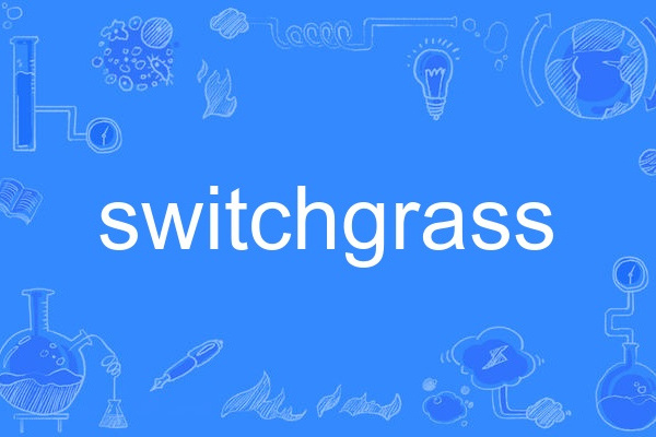 switchgrass switchgrass