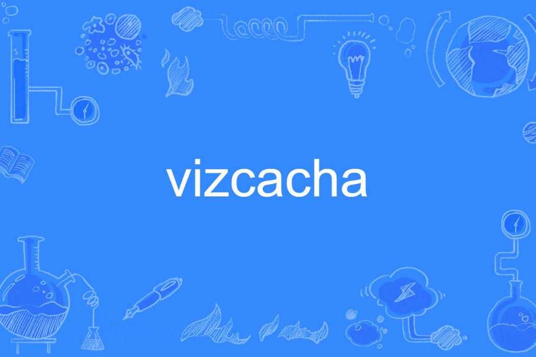 vizcacha vizcacha