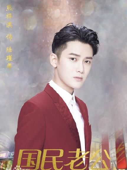 陸瑾年(電視劇《國民老公》中的男主角) 陸瑾年(電視劇《國民老公》中的男主角)