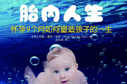 胎內人生 胎內人生