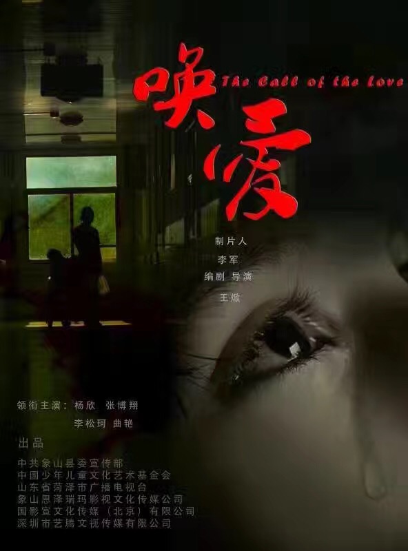 喚愛(2015年中國拍攝影片)
