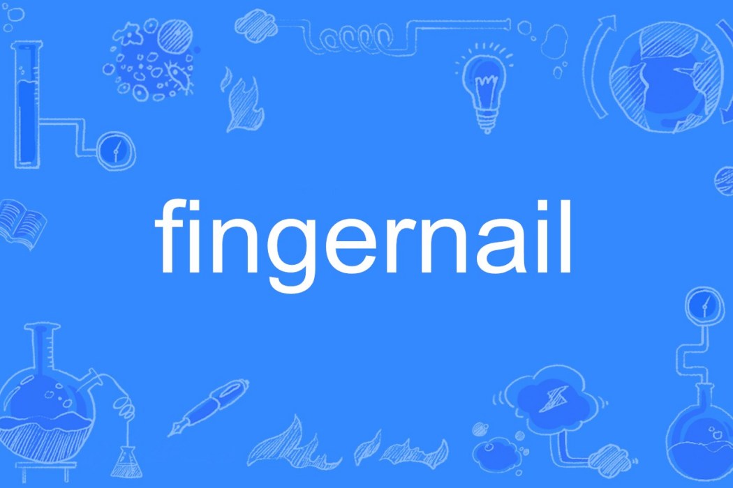 fingernail fingernail