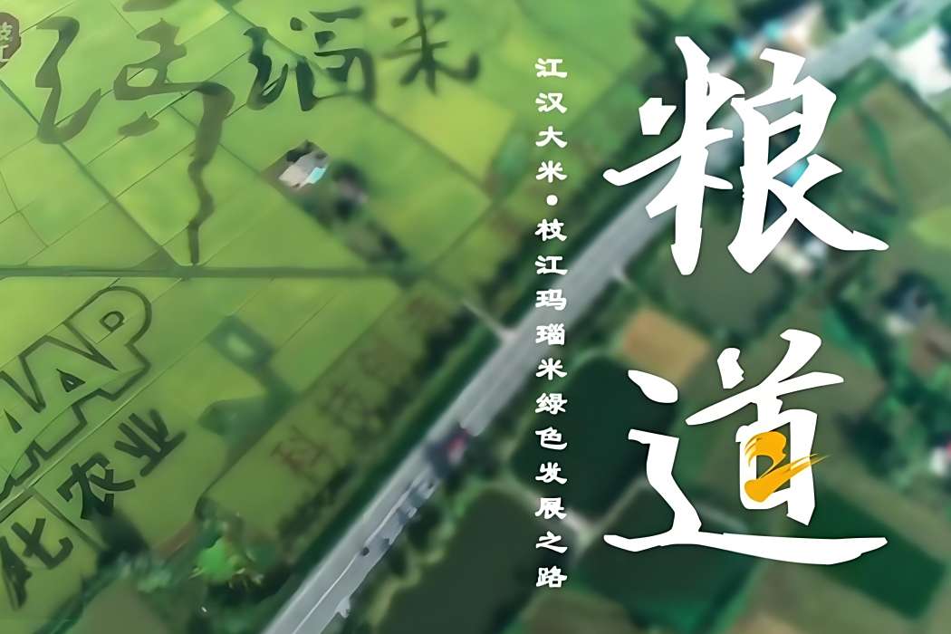 糧道(枝江市優質稻米產業鏈宣傳片) 糧道(枝江市優質稻米產業鏈宣傳片)