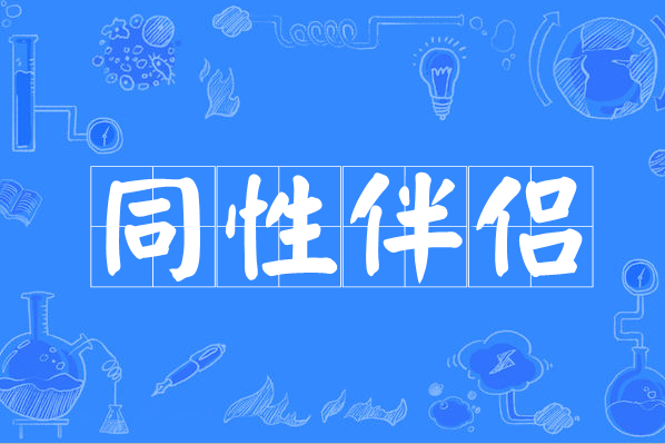 同性伴侶 同性伴侶