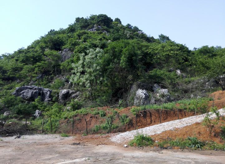 蘿蔔嶺 蘿蔔嶺